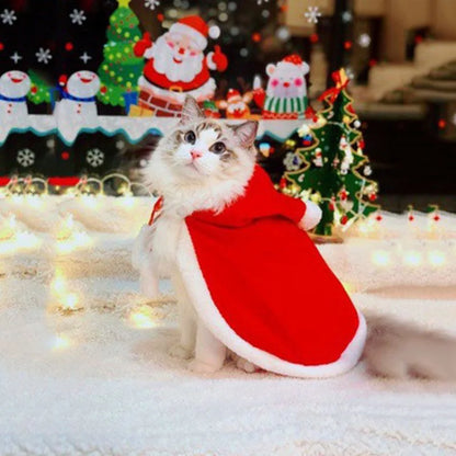 Pet Christmas Cap