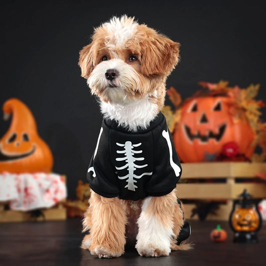 Halloween Dog Costume