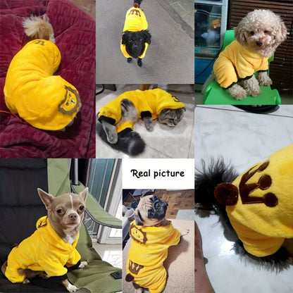 Warm Dog Hoodies