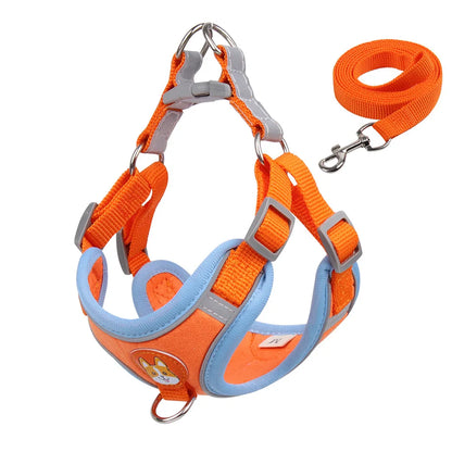 Pet Dog Harness and Leash