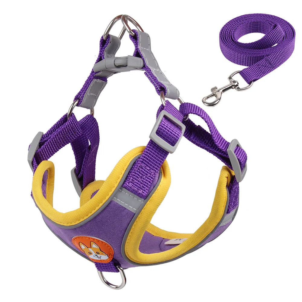 Pet Dog Harness and Leash