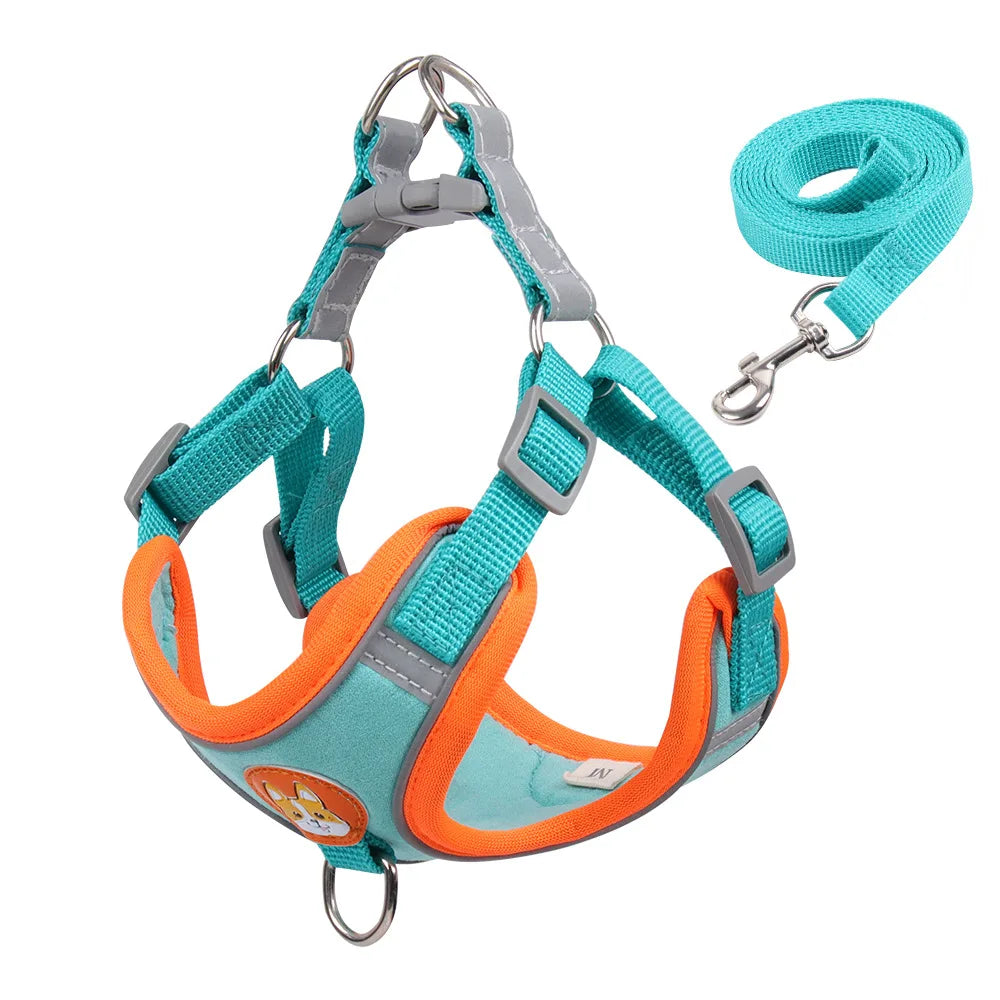 Pet Dog Harness and Leash