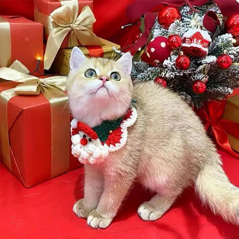 Christmas Cat Collar