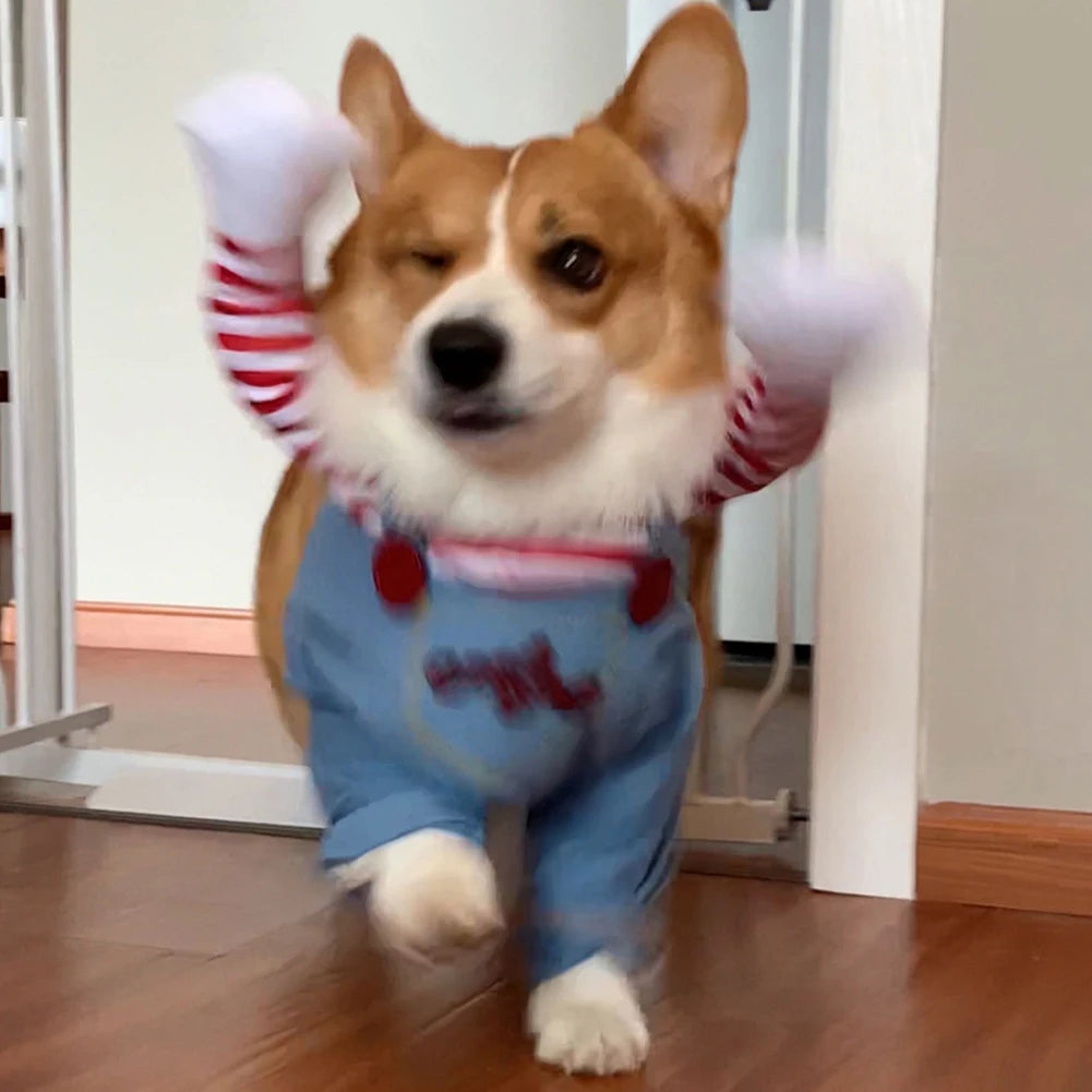 Halloween Dog Costume