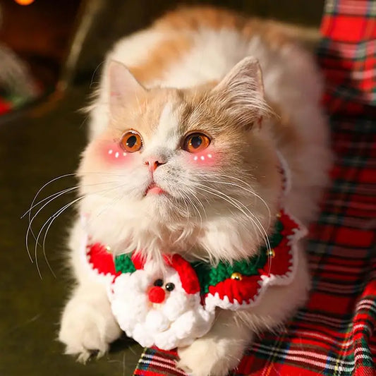 Christmas Cat Collar