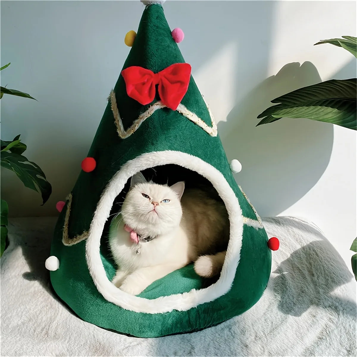 Cats Christmas Bed