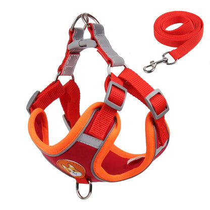 Pet Dog Harness and Leash