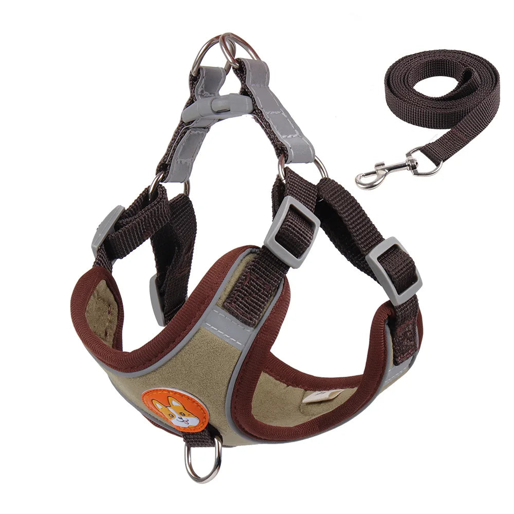 Pet Dog Harness and Leash