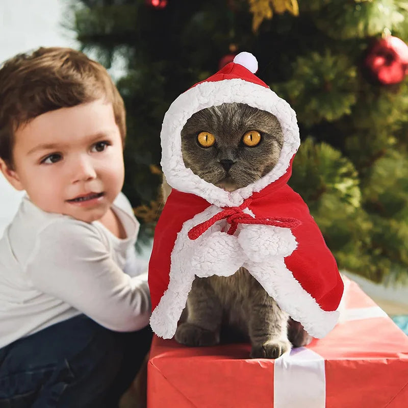 Pet Christmas Cap