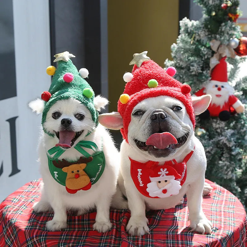 Pet Christmas Hat