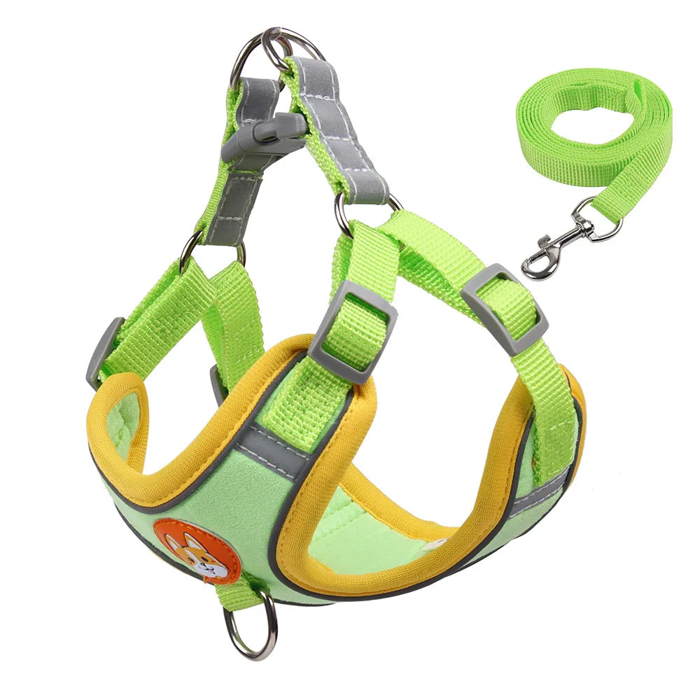 Pet Dog Harness and Leash